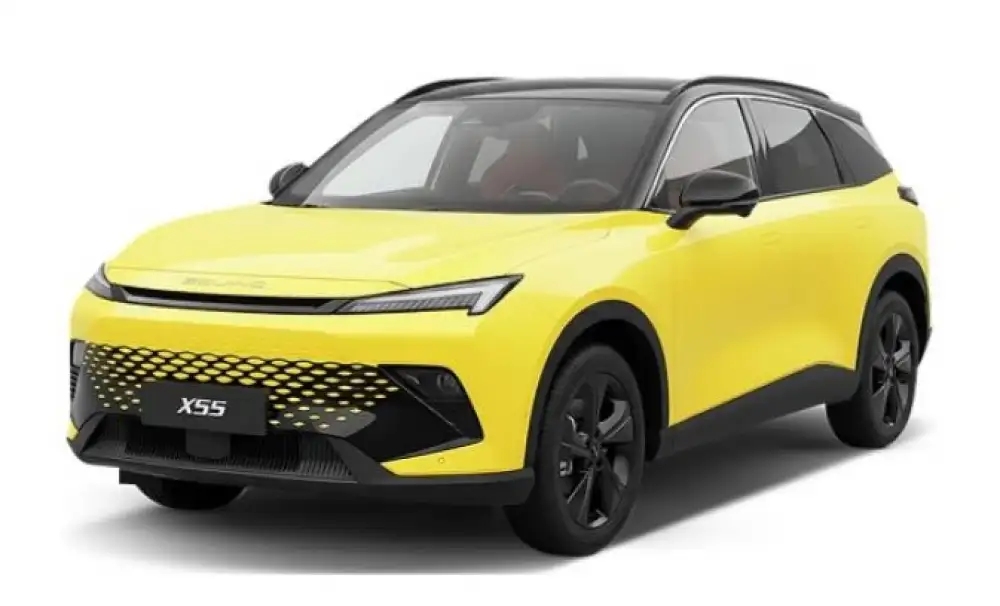 BAIC X55 (2022-) Prémiová autokoberec